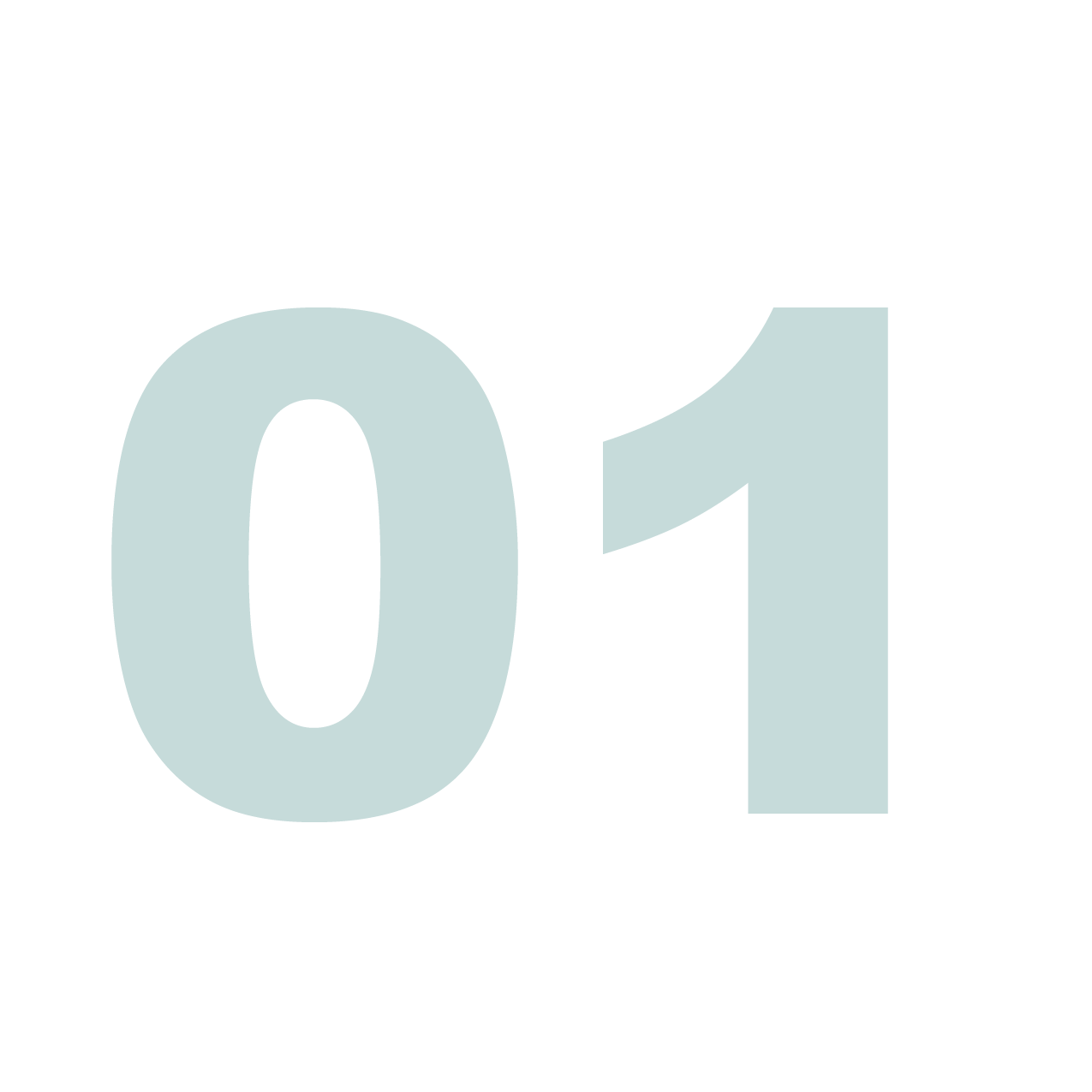 numeros 01 Visas E1 E2 EB1 EB2 EB5 L1